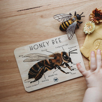 Honey Bee Anatomy Tile