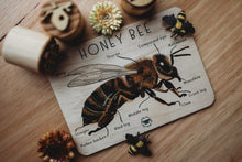 Load image into Gallery viewer, Honey Bee Anatomy Tile