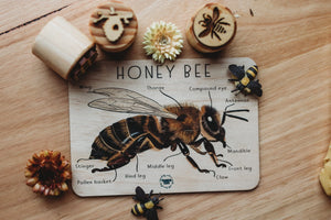 Honey Bee Anatomy Tile