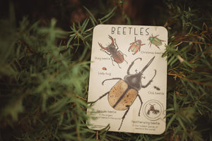 Beetles Tile