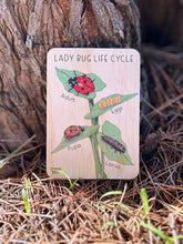 Load image into Gallery viewer, Lady Bug Life Cycle Tile