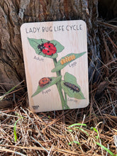 Load image into Gallery viewer, Lady Bug Life Cycle Tile