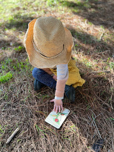 Lady Bug Life Cycle Tile