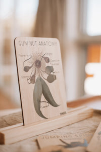 Gum Nut Anatomy Tile