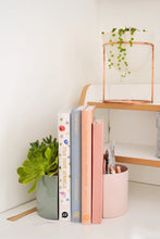 Load image into Gallery viewer, Archie Caddy - Blush Pink