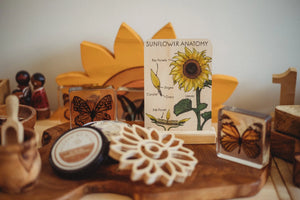 Sunflower Anatomy Tile