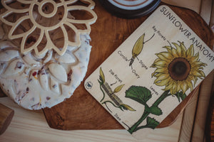 Sunflower Anatomy Tile