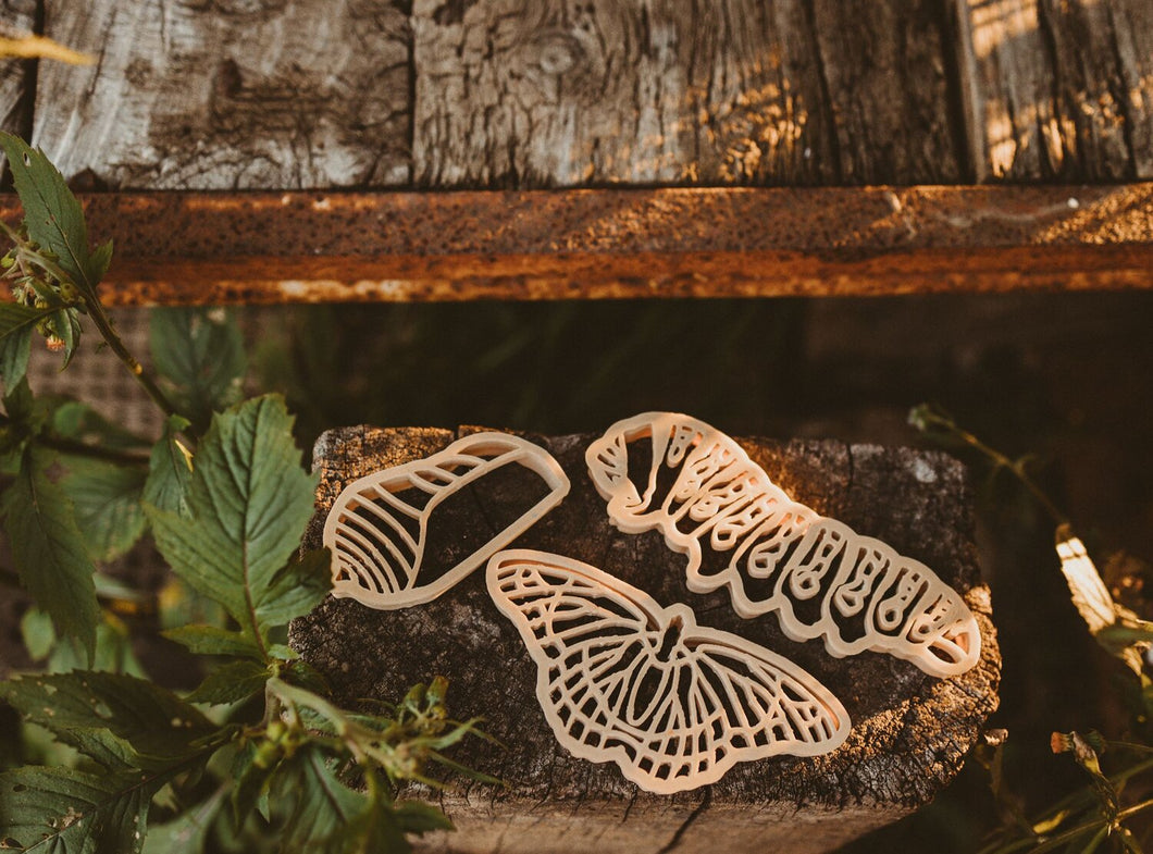 Eco Cutter Set - Butterfly Life Cycle
