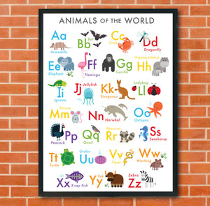 Magnetic Animals & Letters