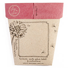 Load image into Gallery viewer, Gift of Seeds - Everlasting Daisy