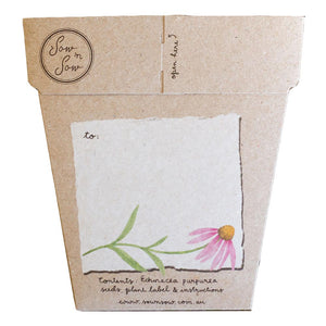 Gift of Seeds - Echinacea