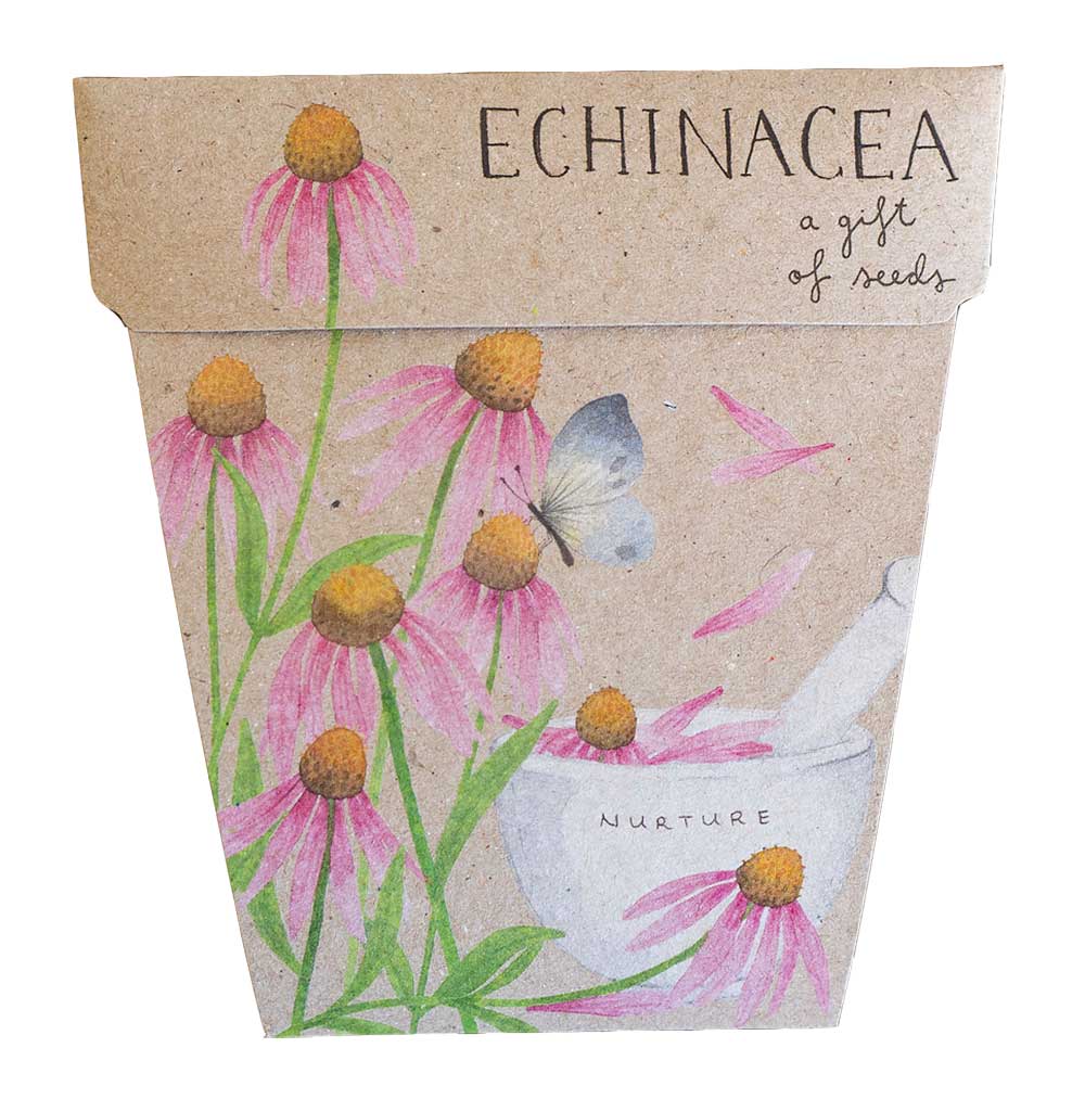 Gift of Seeds - Echinacea