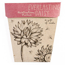 Load image into Gallery viewer, Gift of Seeds - Everlasting Daisy