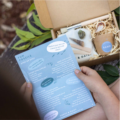 Fun Fossil Kit