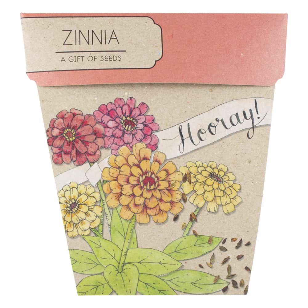 Gift of Seeds - Hooray Zinnia