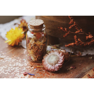 Nature Set - Autumn Garden