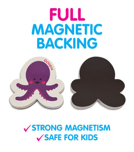 Magnetic Objects & Letters