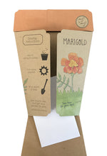 Load image into Gallery viewer, Gift of Seeds - Marigolds