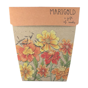 Gift of Seeds - Marigolds