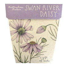 Load image into Gallery viewer, Gift of Seeds - Swan River Daisy