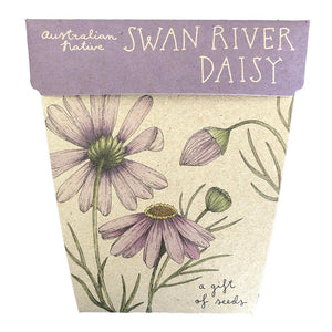 Gift of Seeds - Swan River Daisy