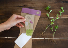 Load image into Gallery viewer, Gift of Seeds - Sweet Pea