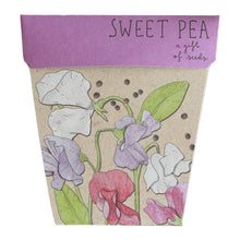 Load image into Gallery viewer, Gift of Seeds - Sweet Pea