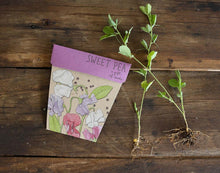 Load image into Gallery viewer, Gift of Seeds - Sweet Pea