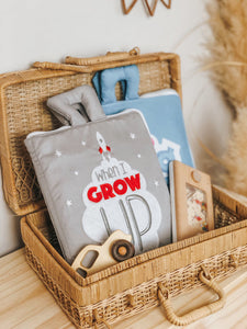 Fabric Activity Book - When I Grow Up