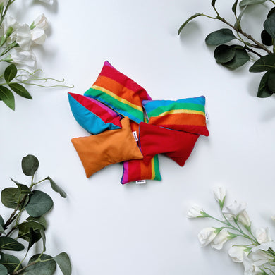 Sandies Sandbags - Rainbow